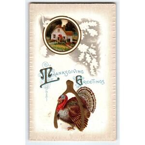 Thanksgiving Day Greetings Postcard Turkey 1910 A.S Meeker Wishbone Embossed 946